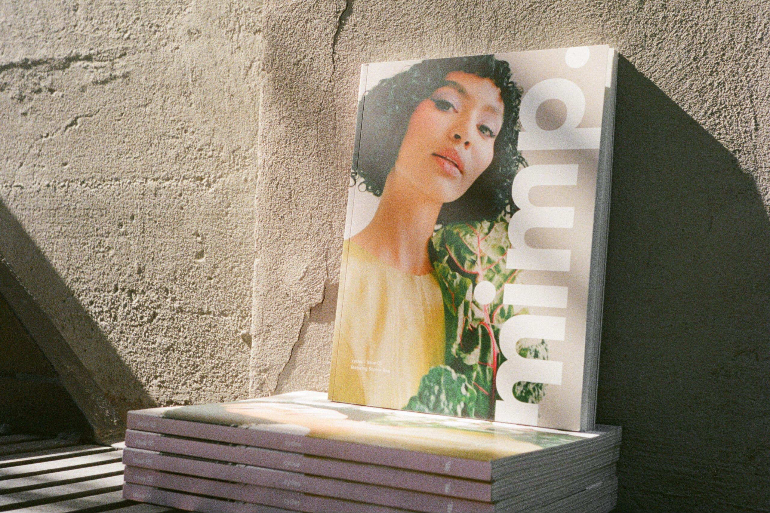Mimp-Image-01