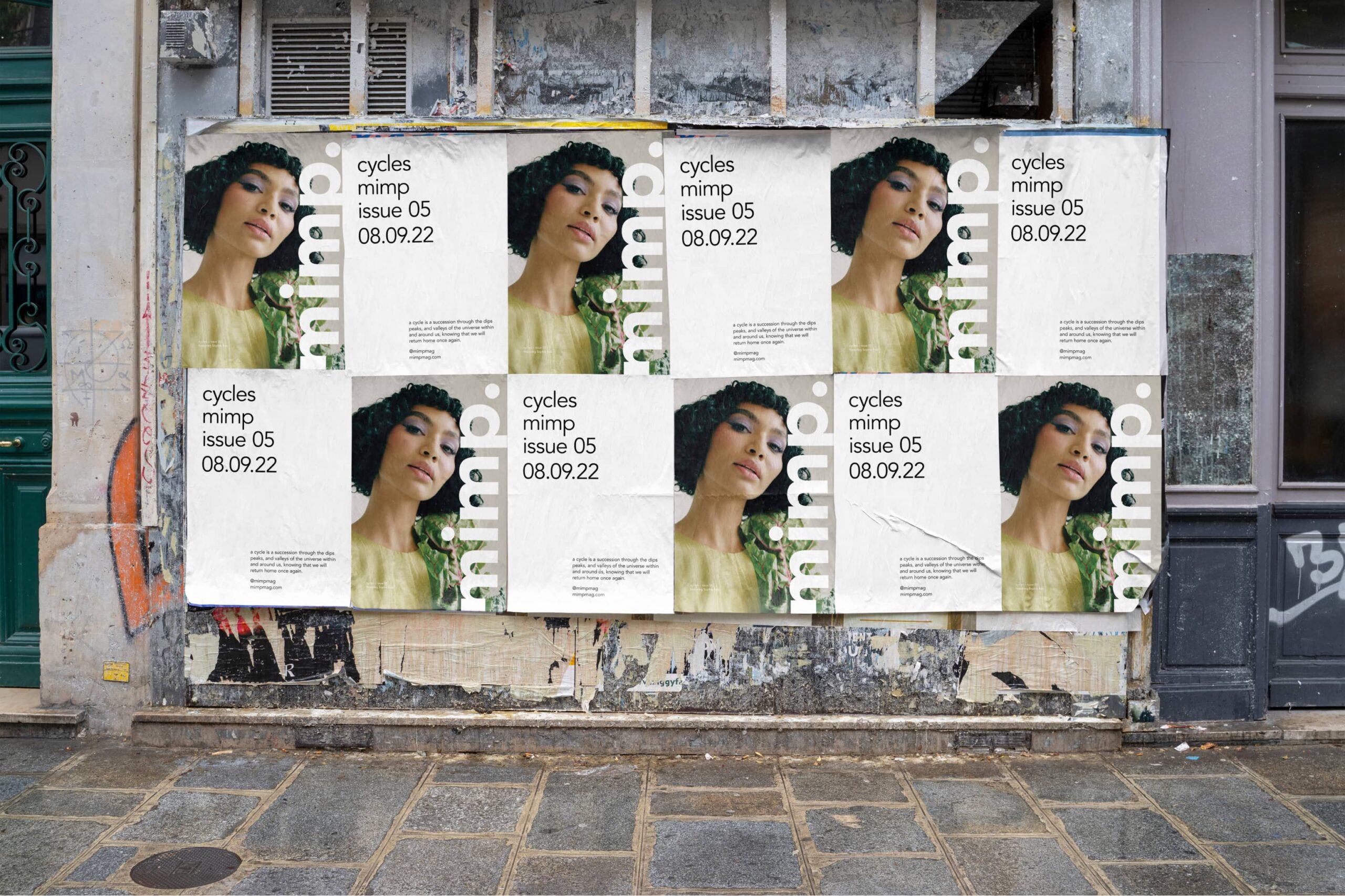 Mimp-Image-22